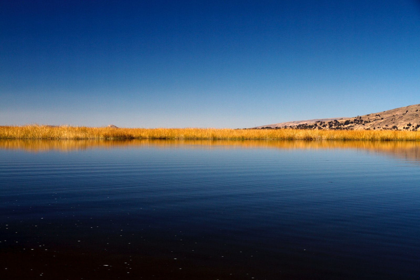 body of water near mountain